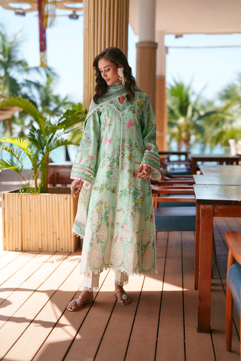 HC10 - Mint green 3 piece stitched Chikankari Summer Collection