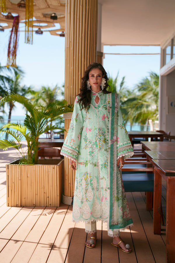 HC10 - Mint green 3 piece stitched Chikankari Summer Collection