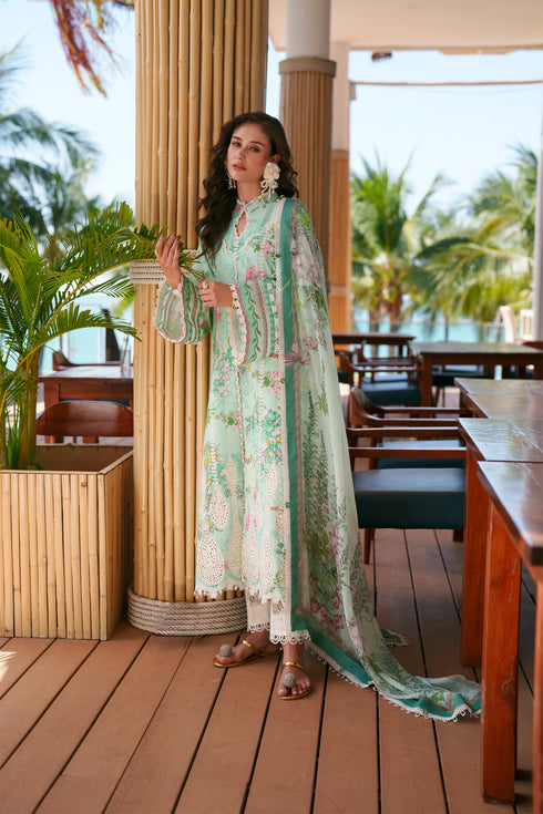 HC10 - Mint green 3 piece stitched Chikankari Summer Collection