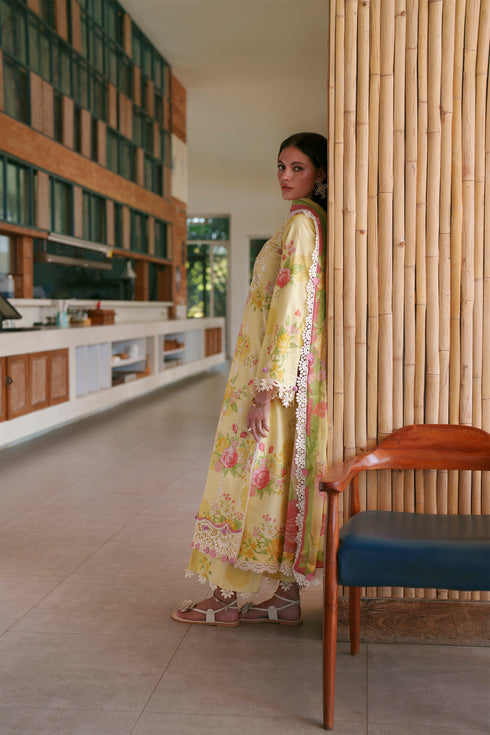HC007 - Yellow 3 piece stiched Chikankari Summer Collection